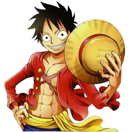 Monkey D. Luffy (Future Pirate King)